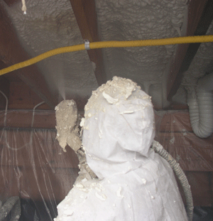 Waco TX crawl space insulation